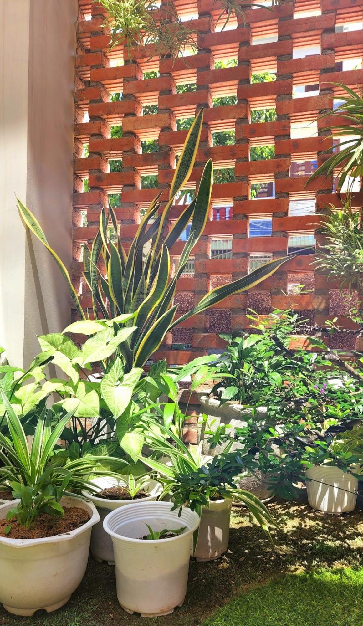 Hanid Hotel トゥイホア エクステリア 写真